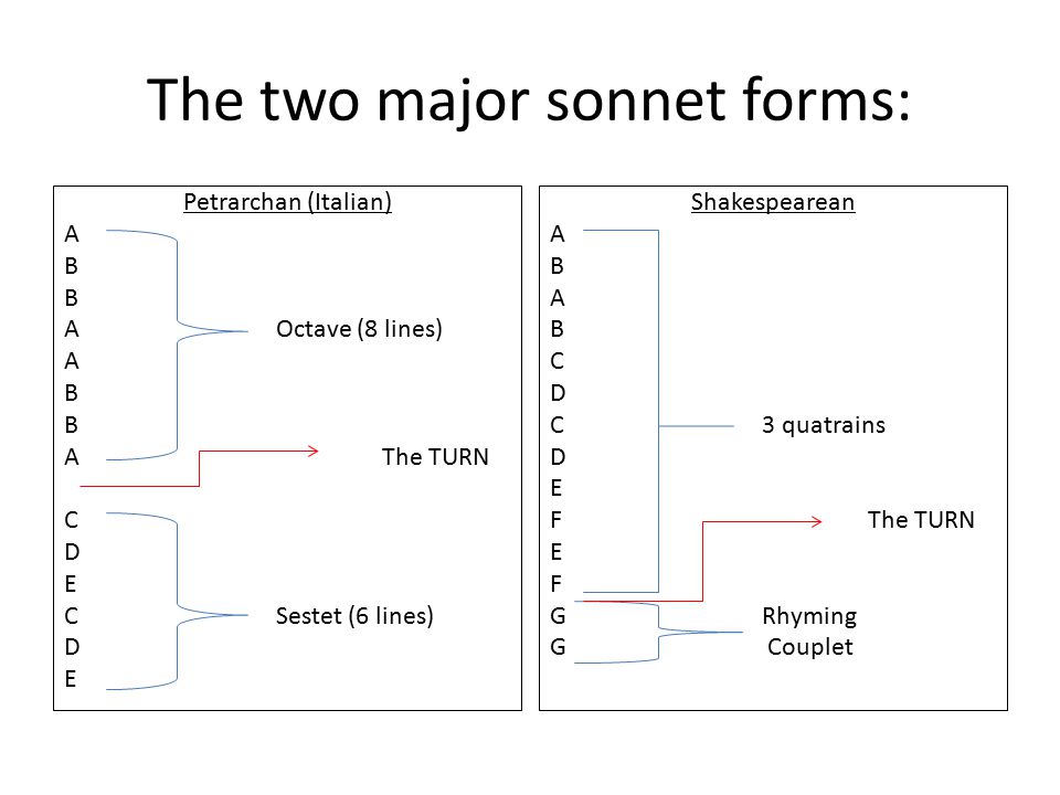 What is a sonnet? Sonnets are poems that meet the following rules: - ppt  download