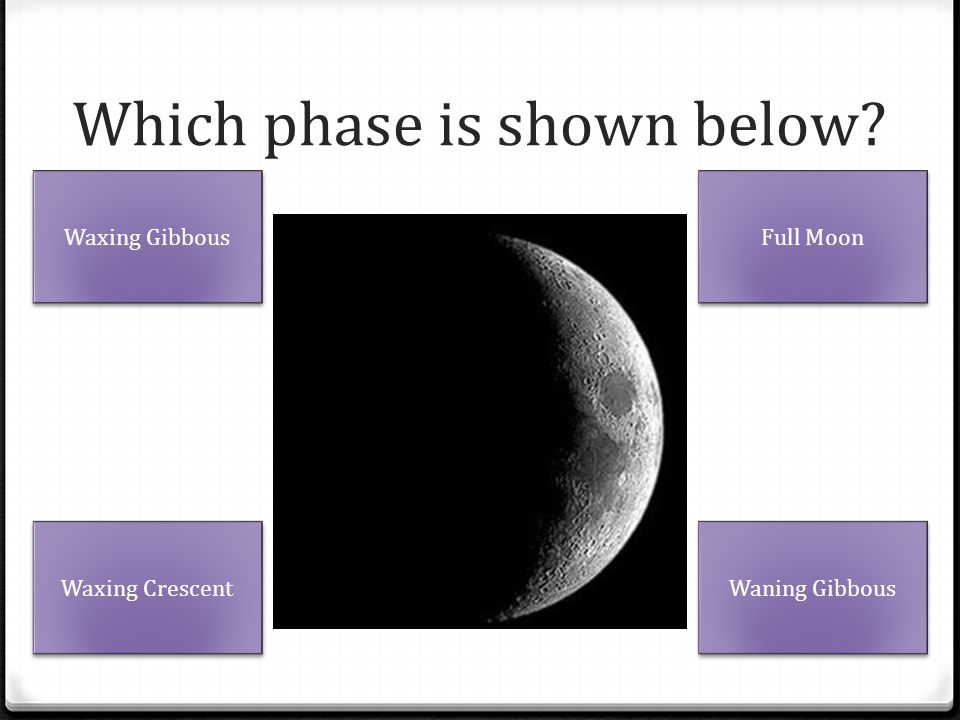 Which phase is shown below
