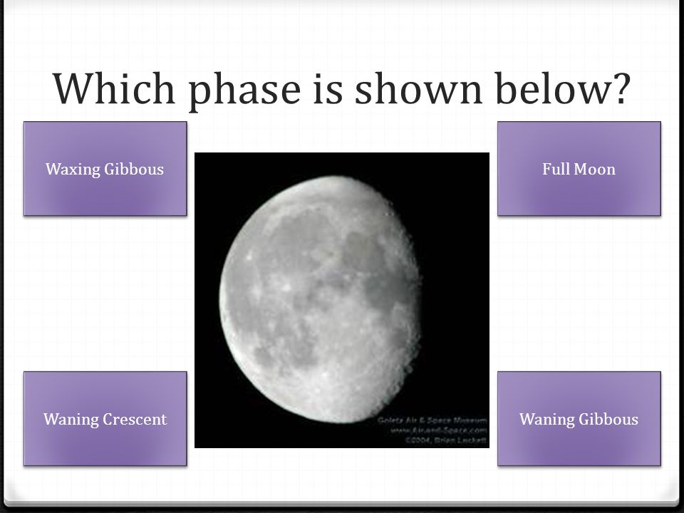 Which phase is shown below