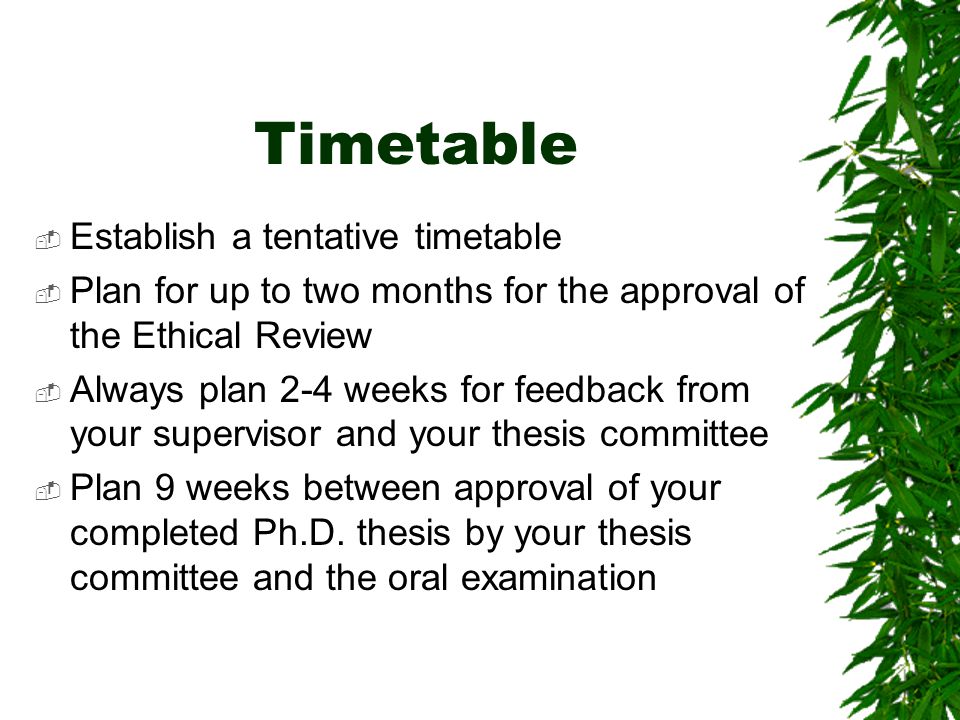 Timetable Establish a tentative timetable