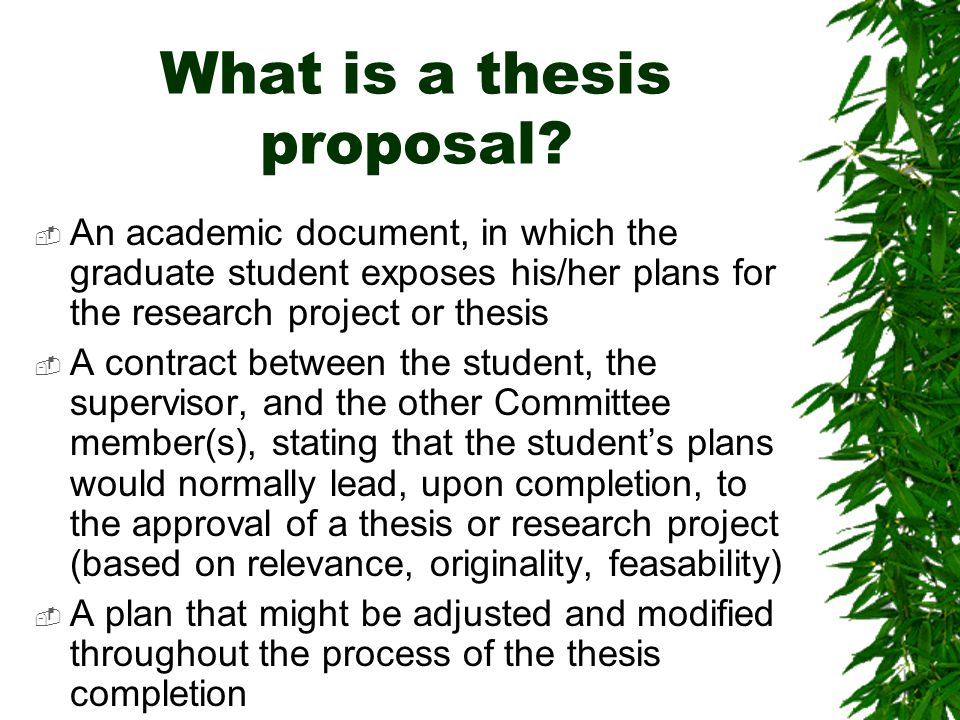 What is a thesis proposal