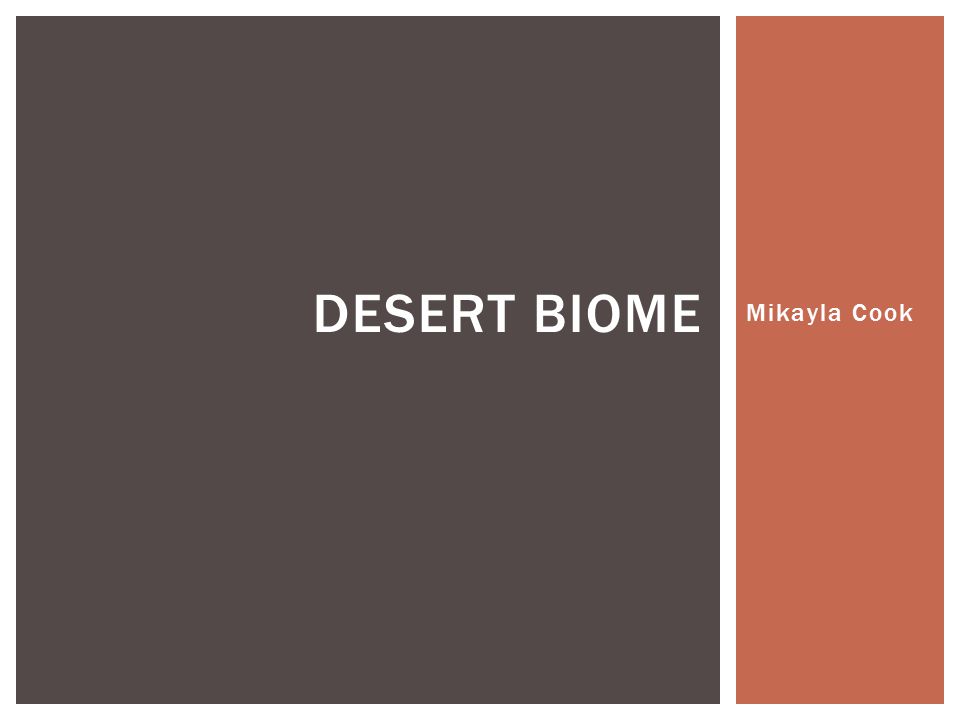 Desert Biome Mikayla Cook