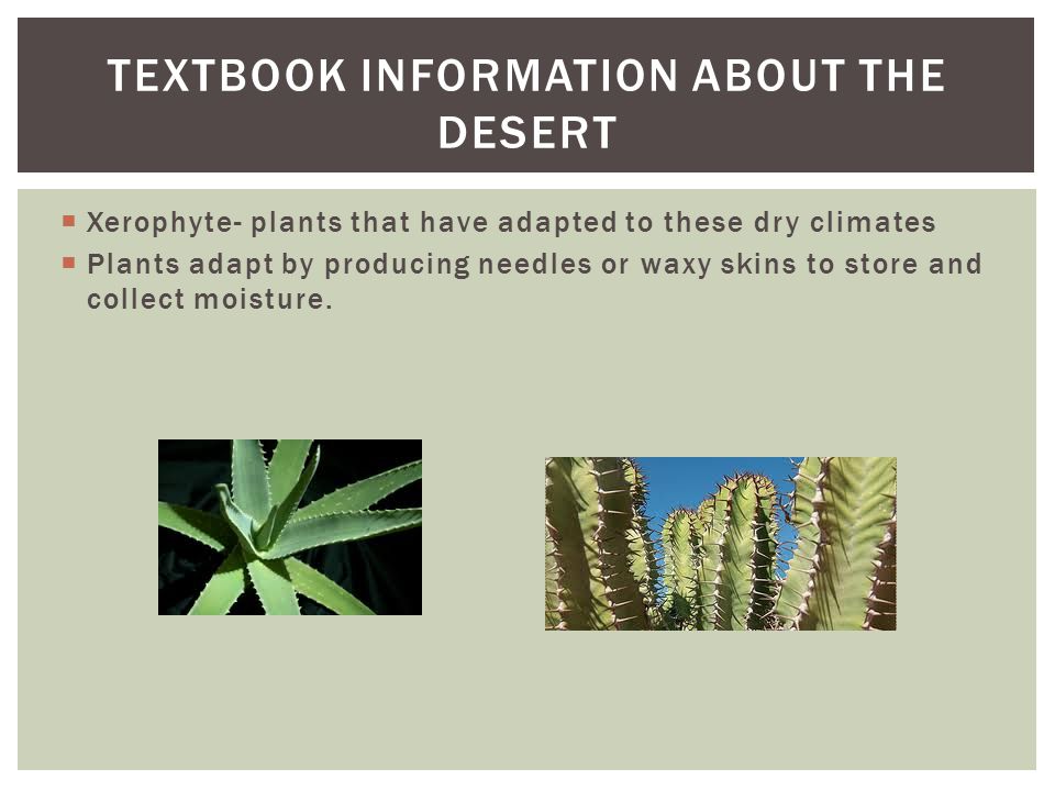 Textbook information about the desert