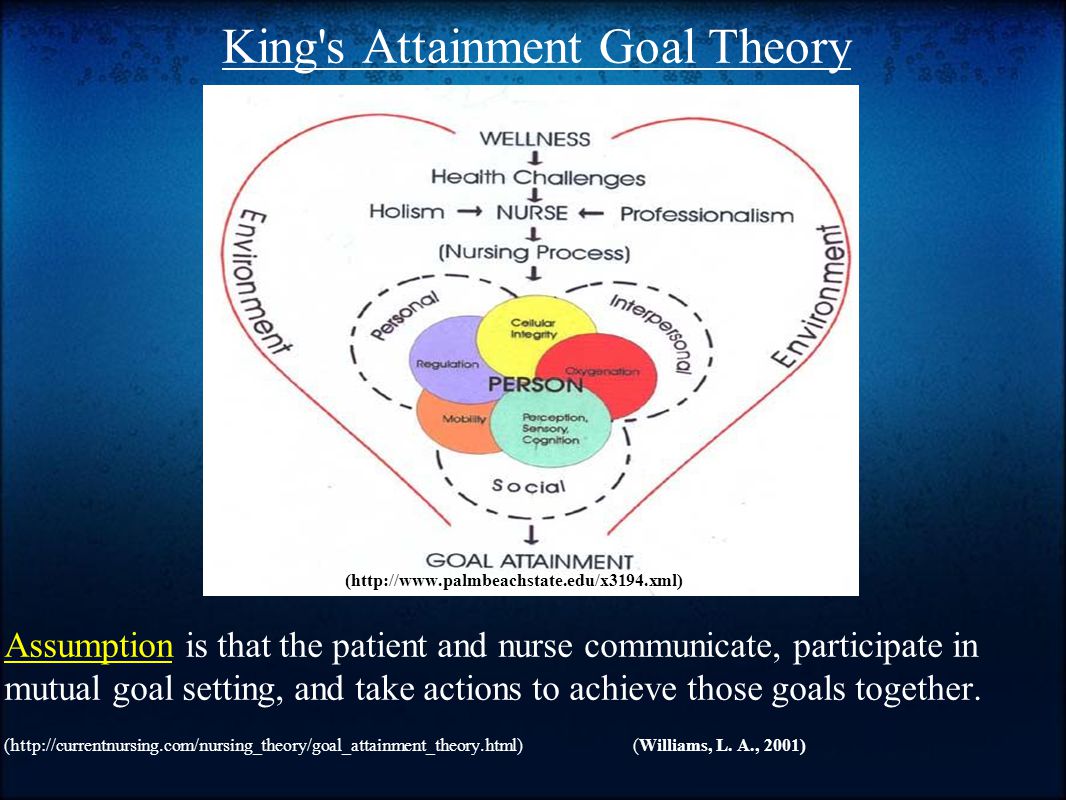 imogene king theory of goal attainment