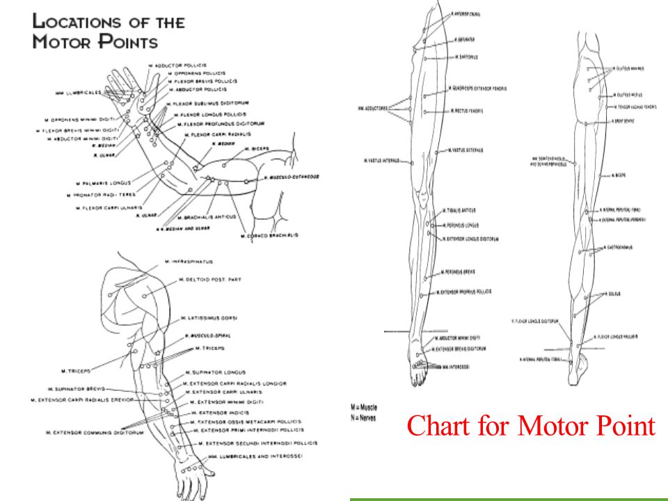 Nmes Electrode Placement Chart