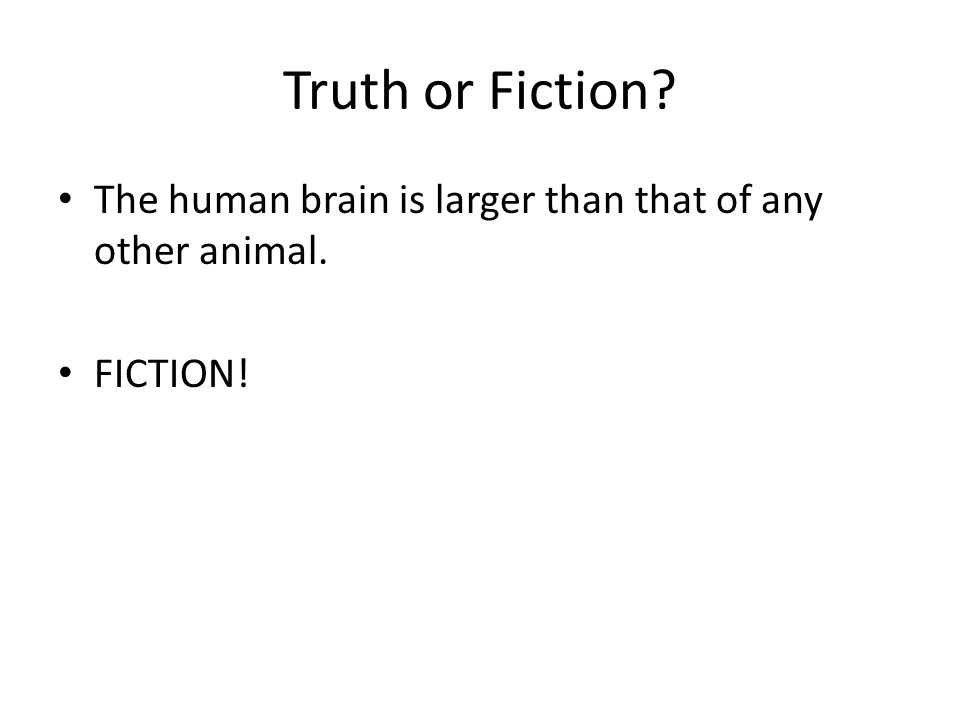 Truth or Fiction The human brain is larger than that of any other animal. FICTION!