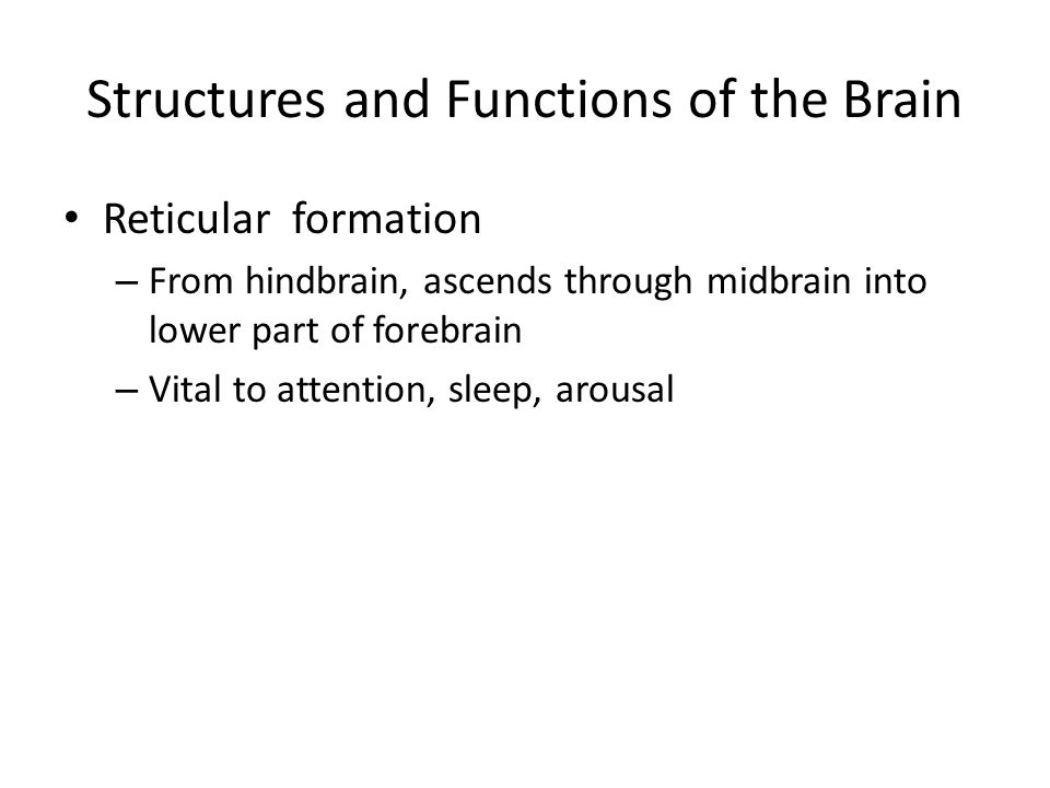 Structures and Functions of the Brain