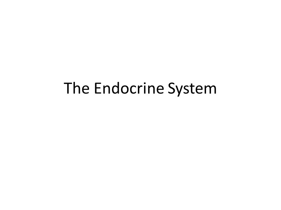 The Endocrine System LO3 Explain the role of the endocrine system and list the endocrine glands.