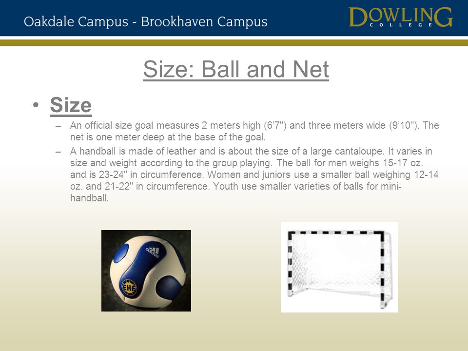 Size: Ball and Net Size.