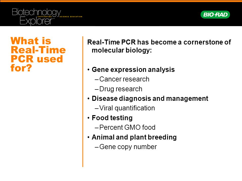Real-Time PCR David A. Palmer, . - ppt video online download