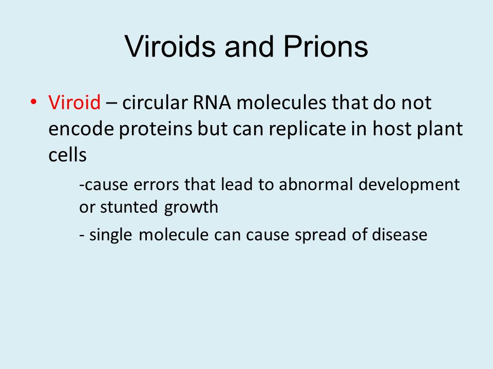 Viroids and Prions Viroid – circular RNA molecules that do not encode proteins but can replicate in host plant cells.