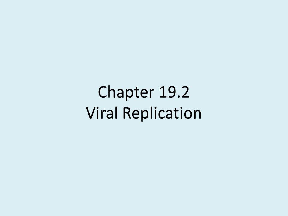 Chapter 19.2 Viral Replication