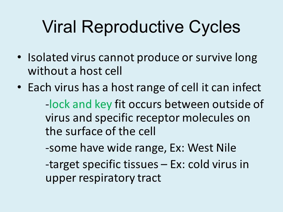 Viral Reproductive Cycles