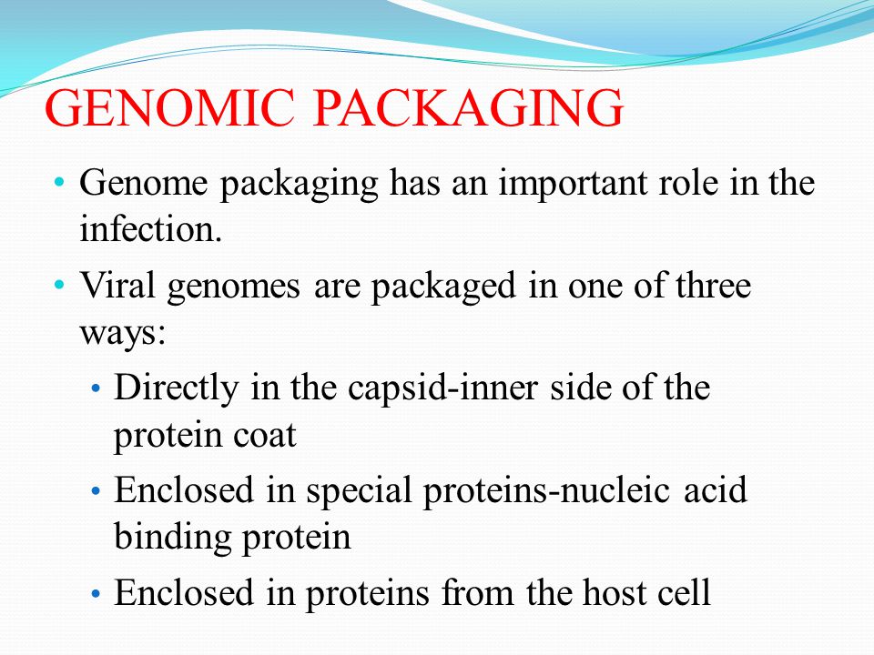 GENOMIC PACKAGING Genome packaging has an important role in the infection. Viral genomes are packaged in one of three ways: