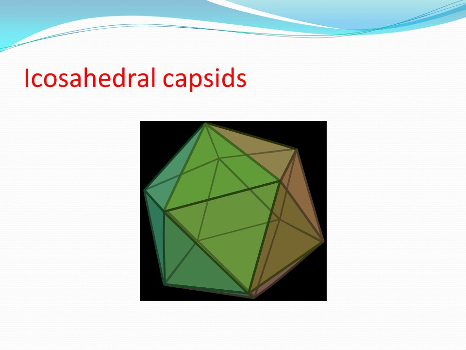Icosahedral capsids