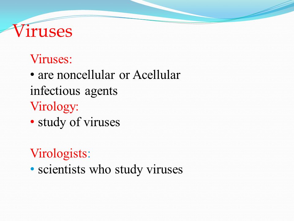 Viruses Viruses: are noncellular or Acellular infectious agents