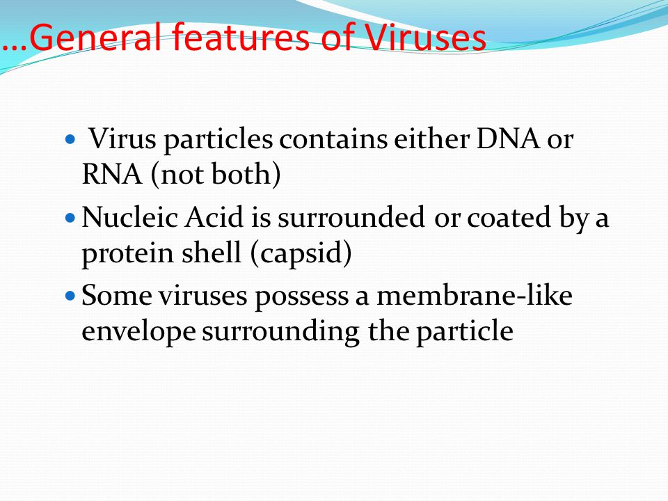 …General features of Viruses