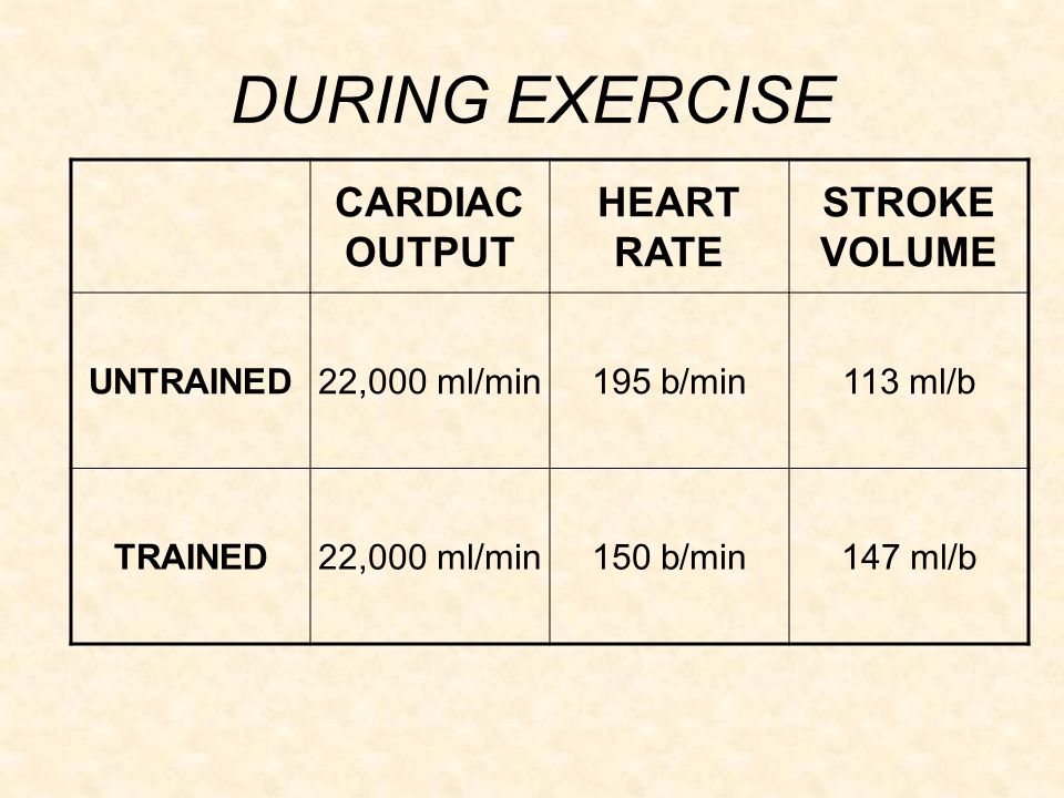 The Effect Of Exercise On The Cardiovascular System Ppt Video Online Download