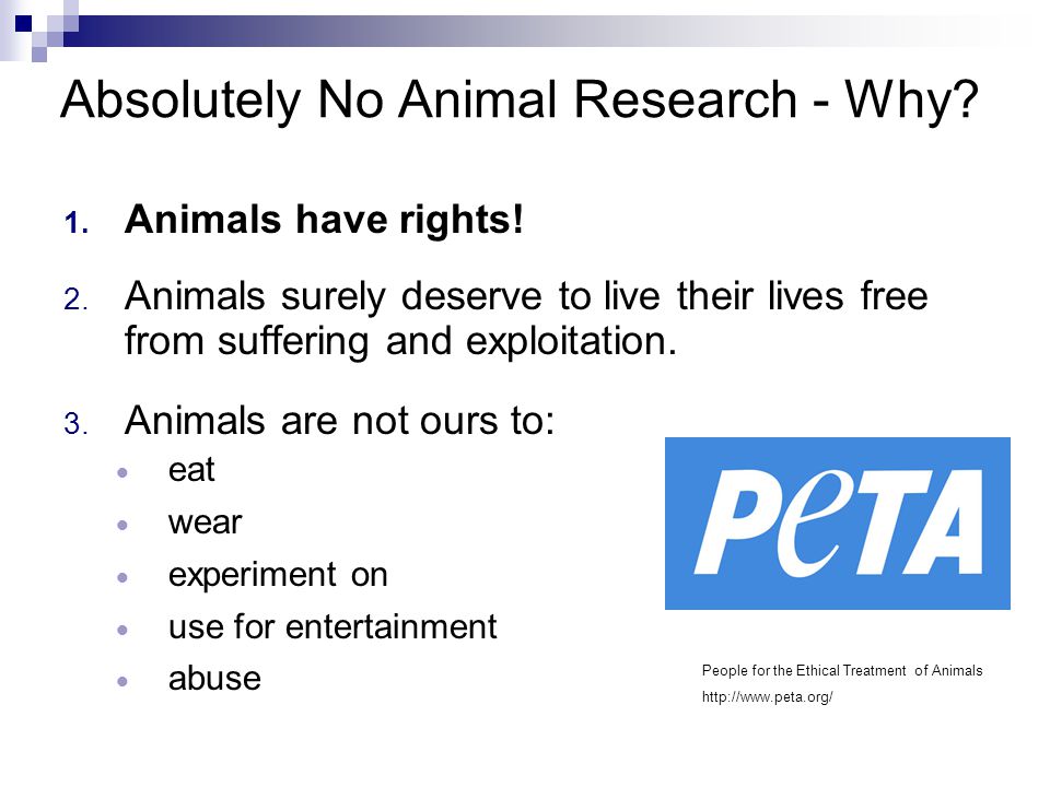 The ethical issues in experimental animal researches - ppt video online download The ethical issues in experimental animal researches - ppt video online download