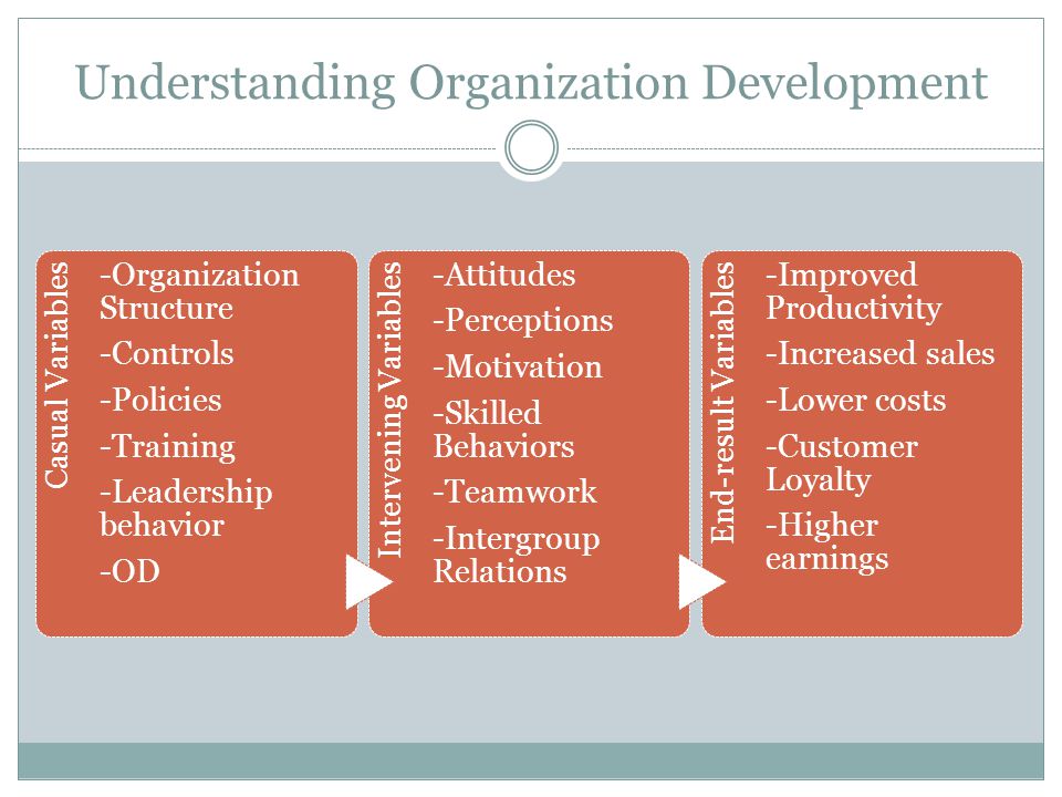 Understanding Organization Development