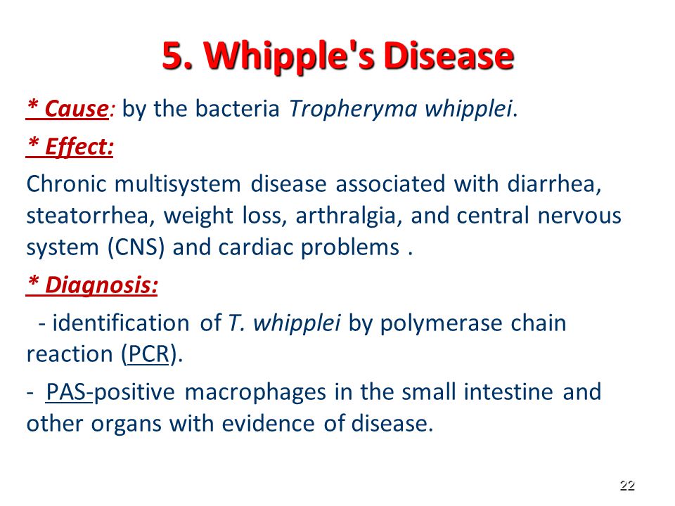 5. Whipple s Disease * Cause: by the bacteria Tropheryma whipplei.