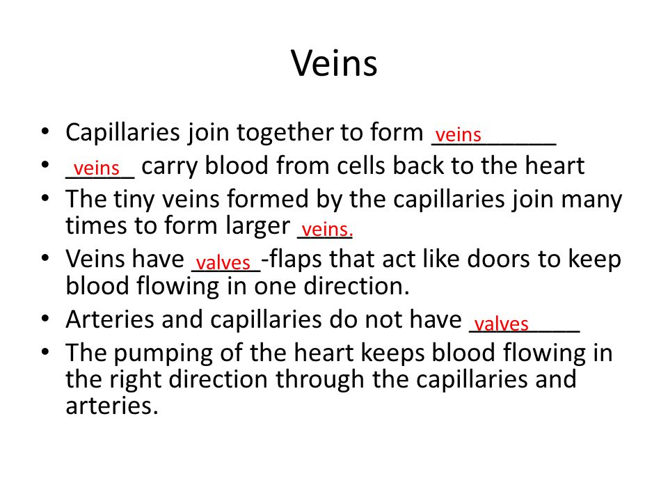 Veins Capillaries join together to form _________