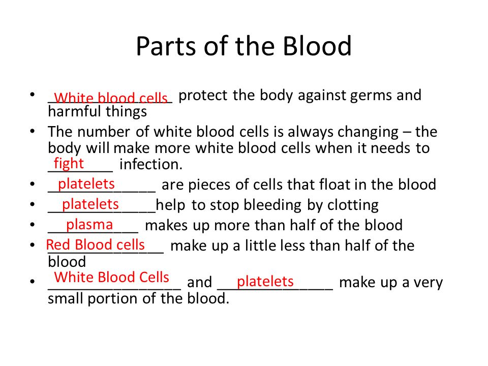 Parts of the Blood _______________ protect the body against germs and harmful things.