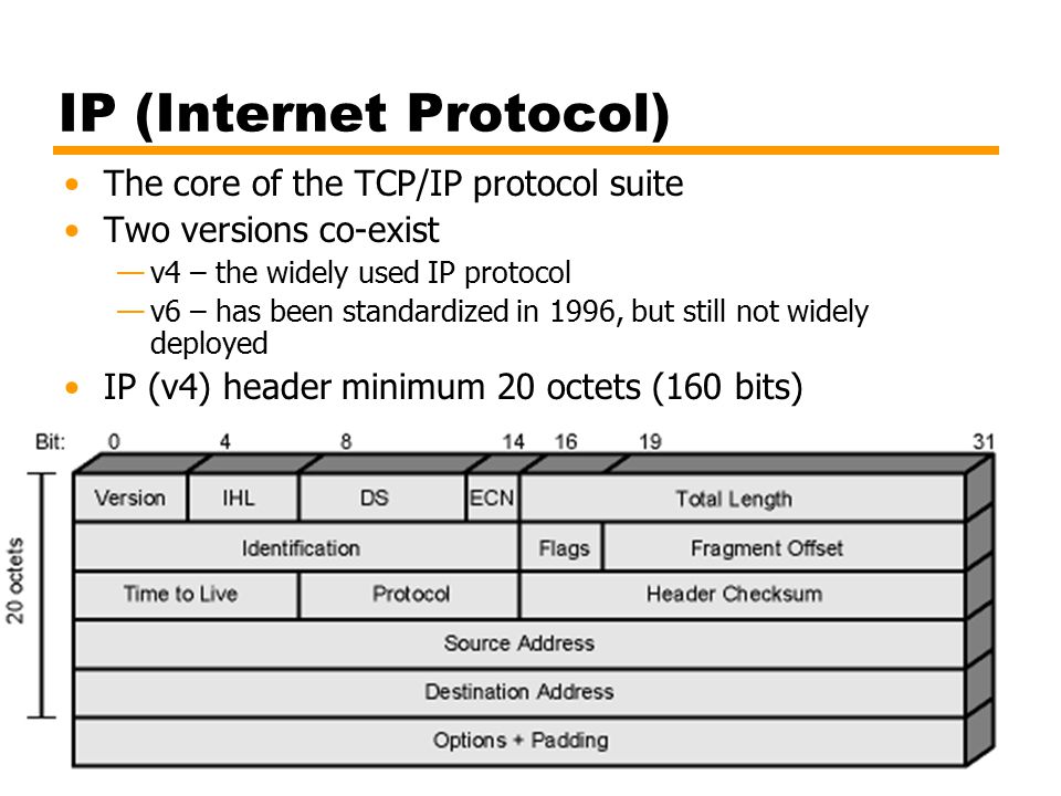 Ip detail. Протокол TCP/IP. Структура стека протоколов TCP/IP. Протокол интернета TCP IP. Протокол TPC/IP.