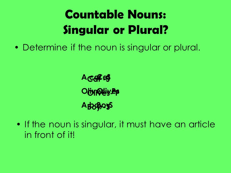 Countable Nouns: Singular or Plural