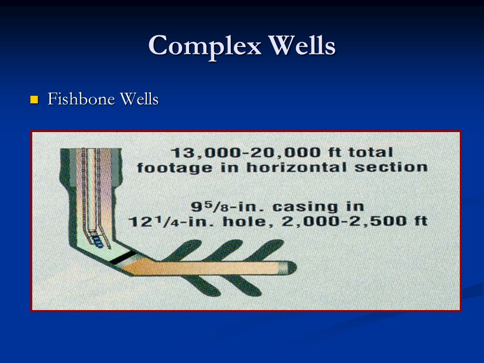 Complex Wells Fishbone Wells