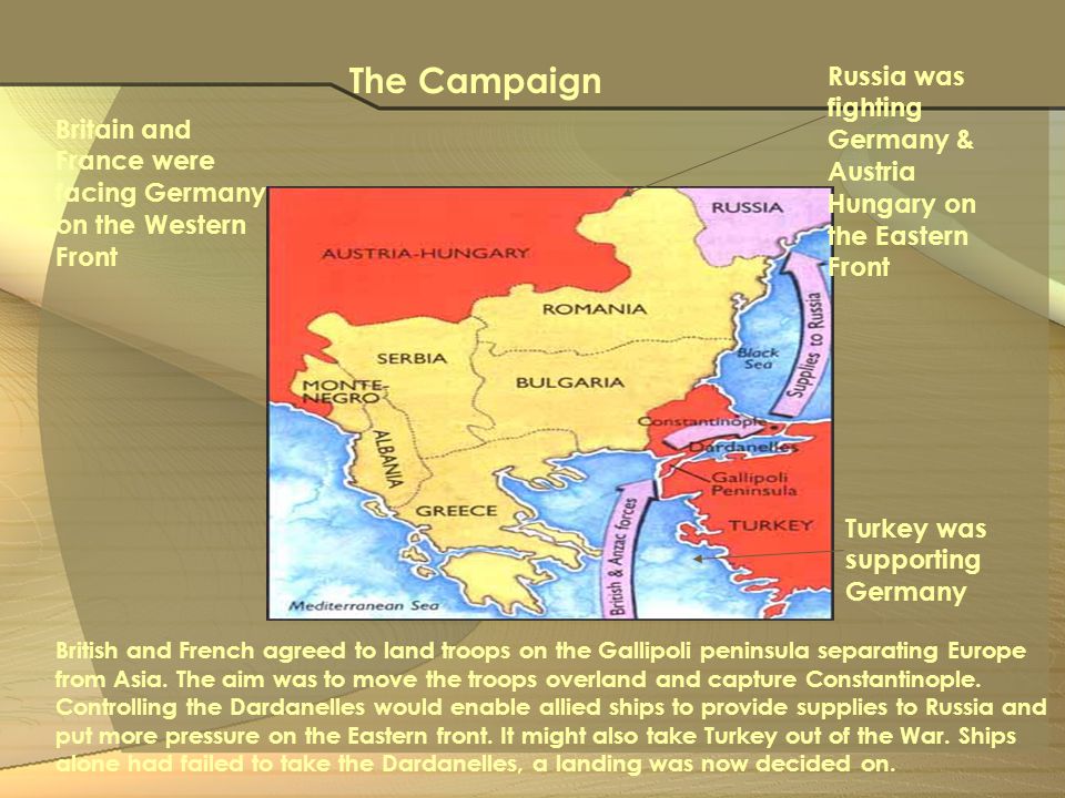 The Gallipoli Campaign - ppt download