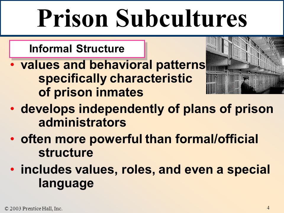 Chapter 13 Prison Life © 2003 Prentice Hall, Inc. ppt video online