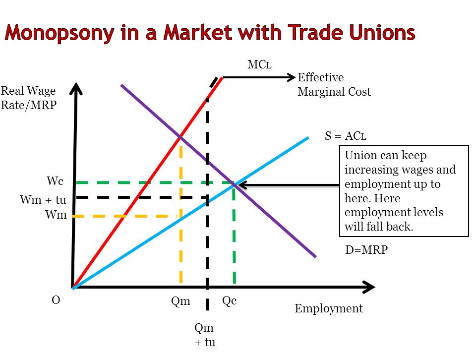 Monopsony in a Market with Trade Unions