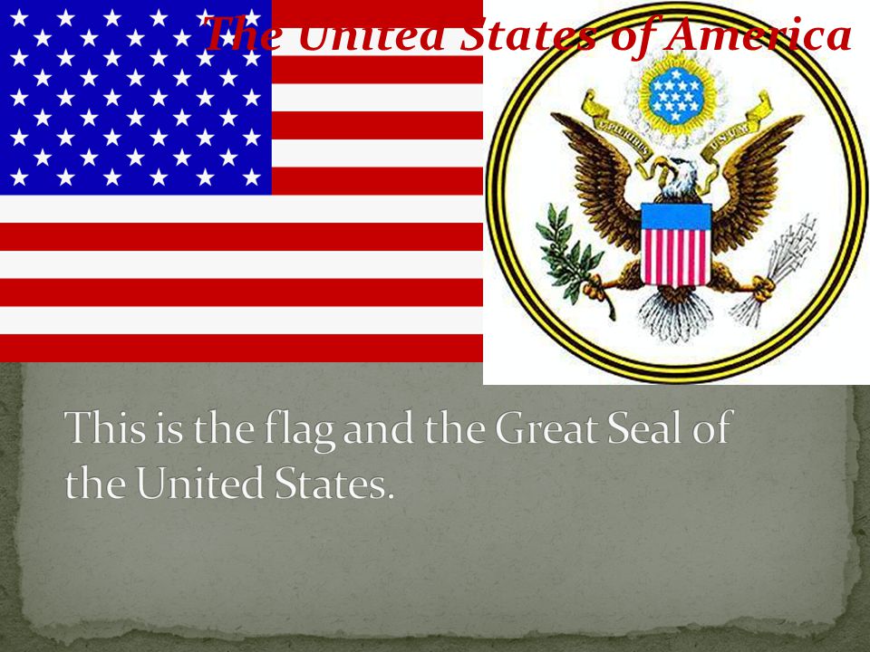 This is the flag and the Great Seal of the United States.
