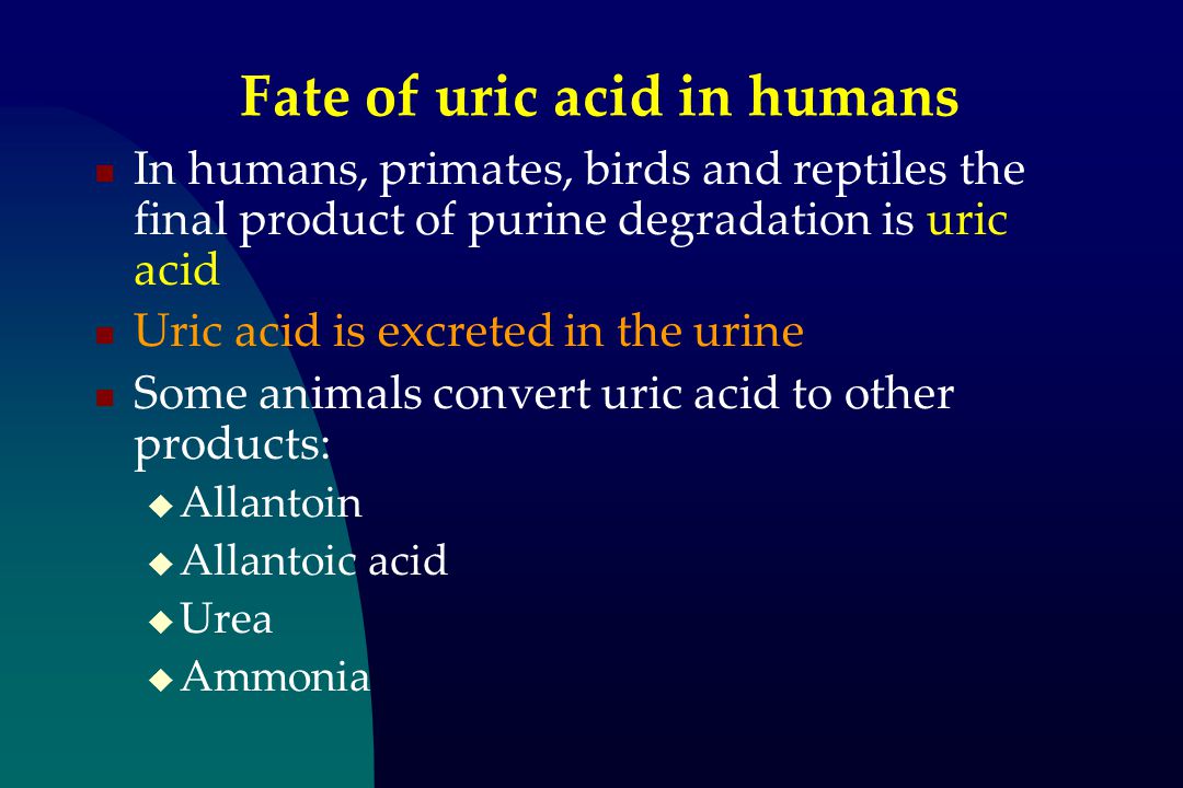 Purine Degradation & Gout (Musculoskeletal Block) - ppt download Purine Degradation & Gout (Musculoskeletal Block) - ppt download