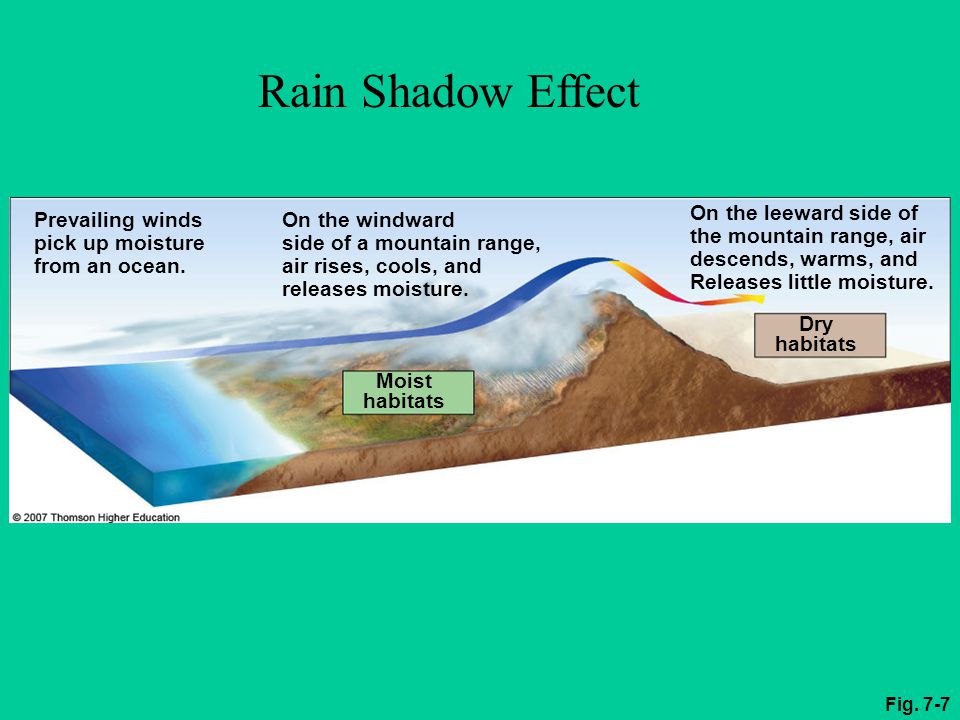 Chapter 7 Climate And Terrestrial Biodiversity Ppt Video Online Download