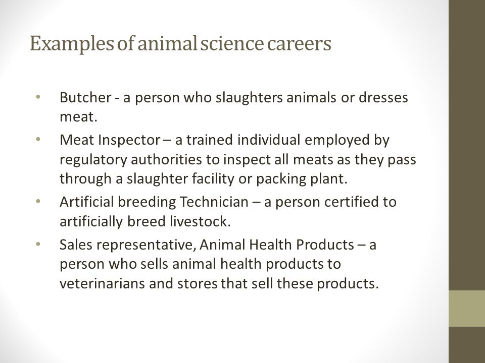 Animal Science Essential Standard : Understand the animal industry  (large animal, poultry, equine, and aquaculture) - ppt download