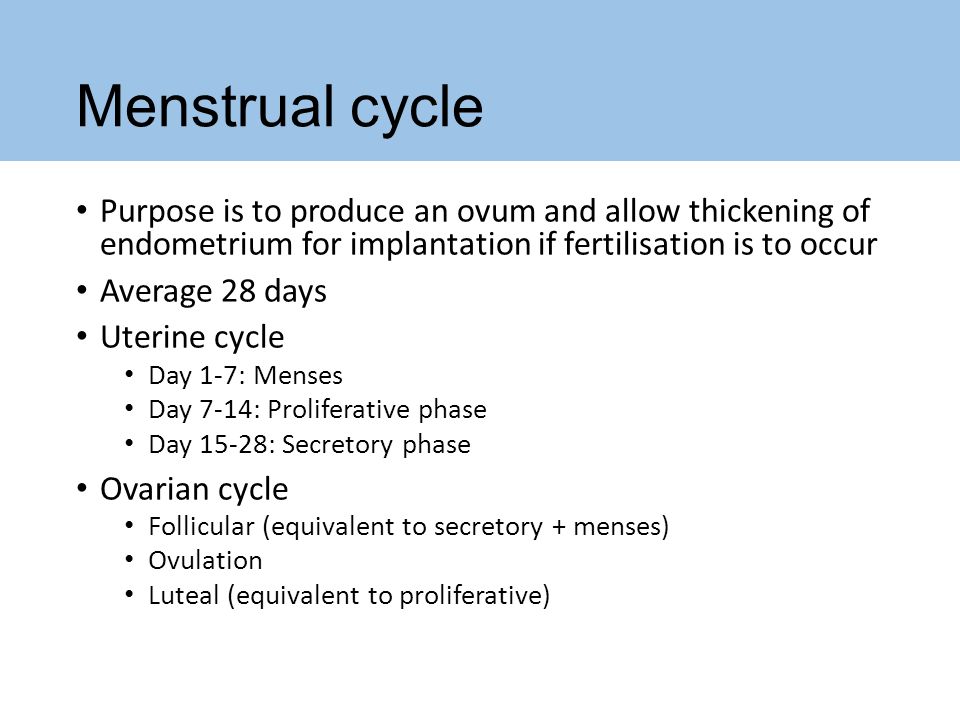 Hormones The Menstrual Cycle Pregnancy And Parturition Ppt