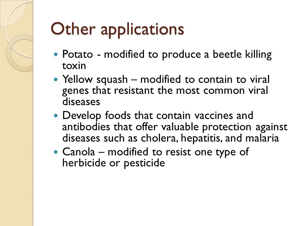 Other applications Potato - modified to produce a beetle killing toxin