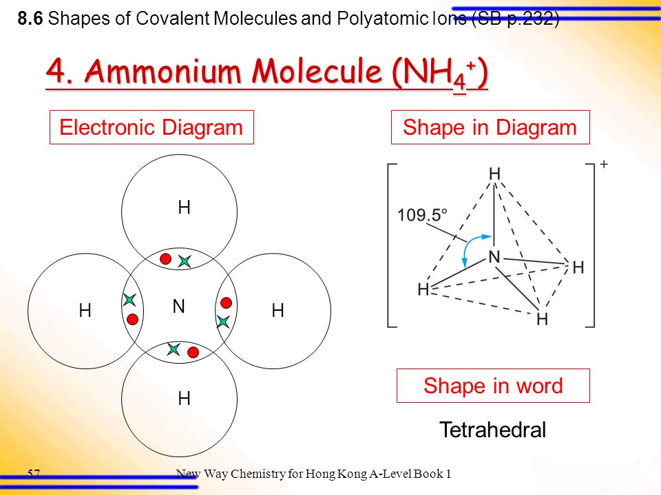 4. Ammonium Molecule (NH4+) .