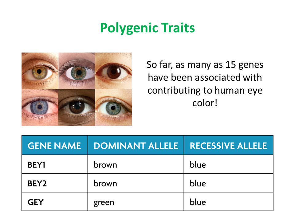 Dominant Vs Recessive Eye Color