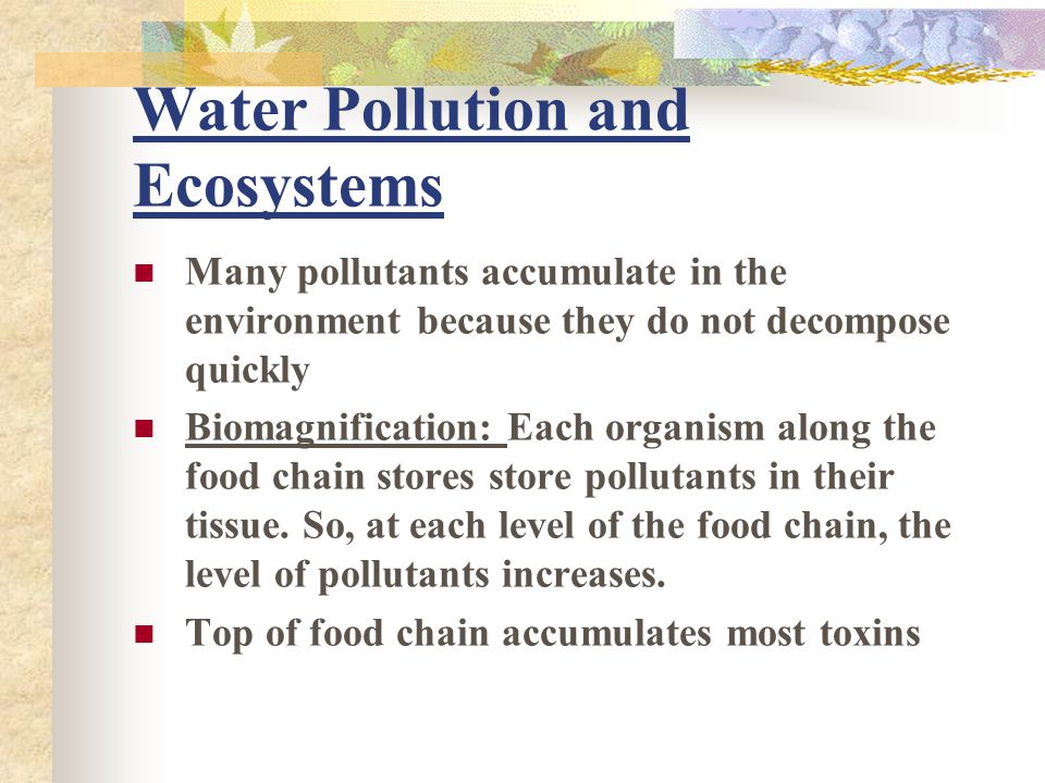 Water Pollution and Ecosystems