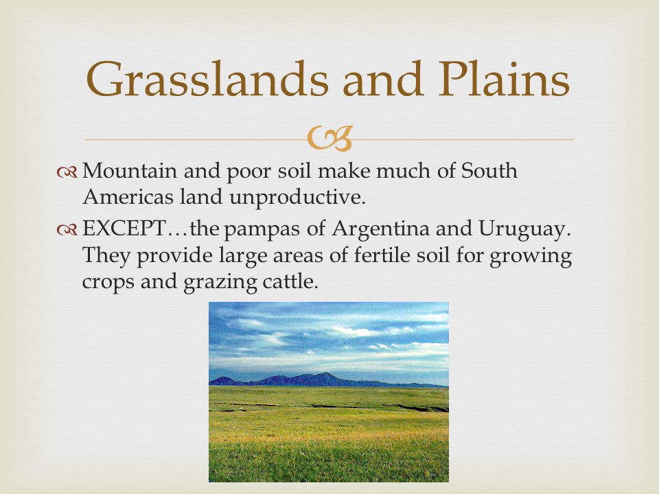 Grasslands and Plains Mountain and poor soil make much of South Americas land unproductive.