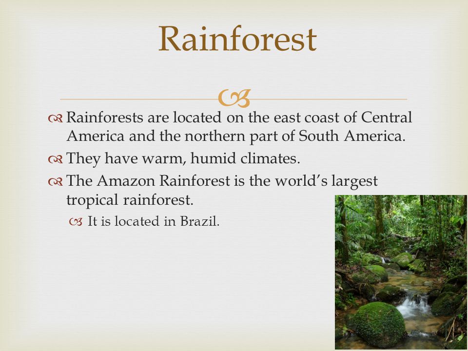 Rainforest Rainforests are located on the east coast of Central America and the northern part of South America.