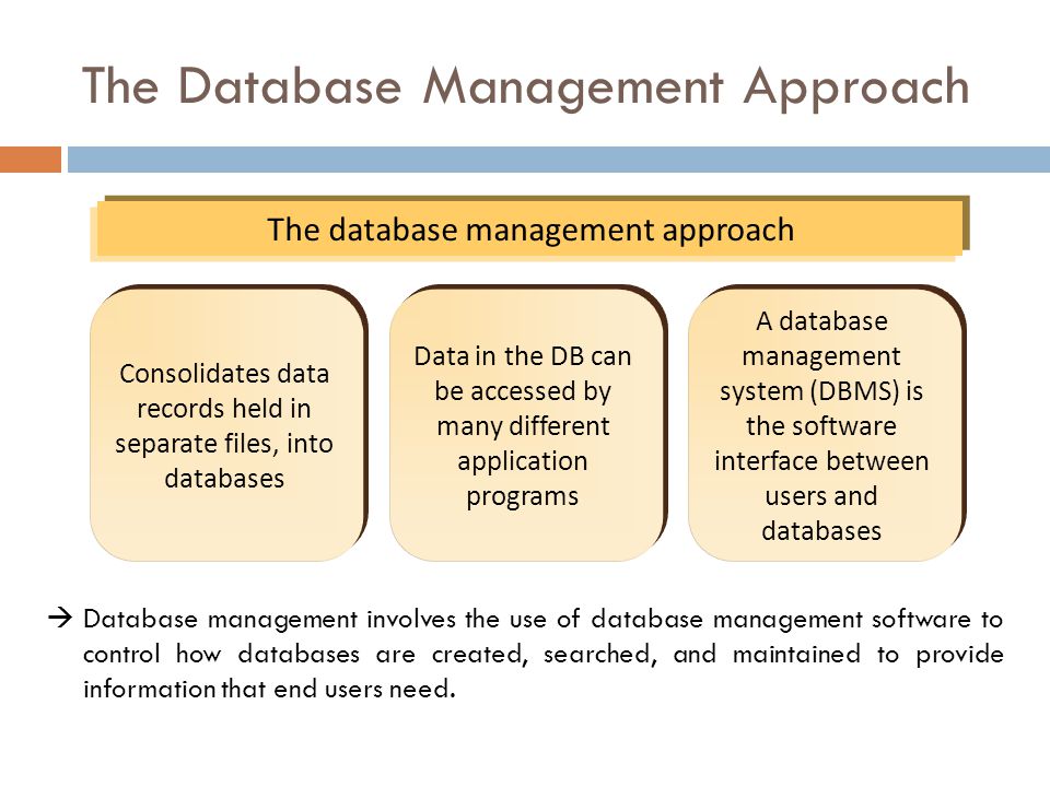The Database Management Approach