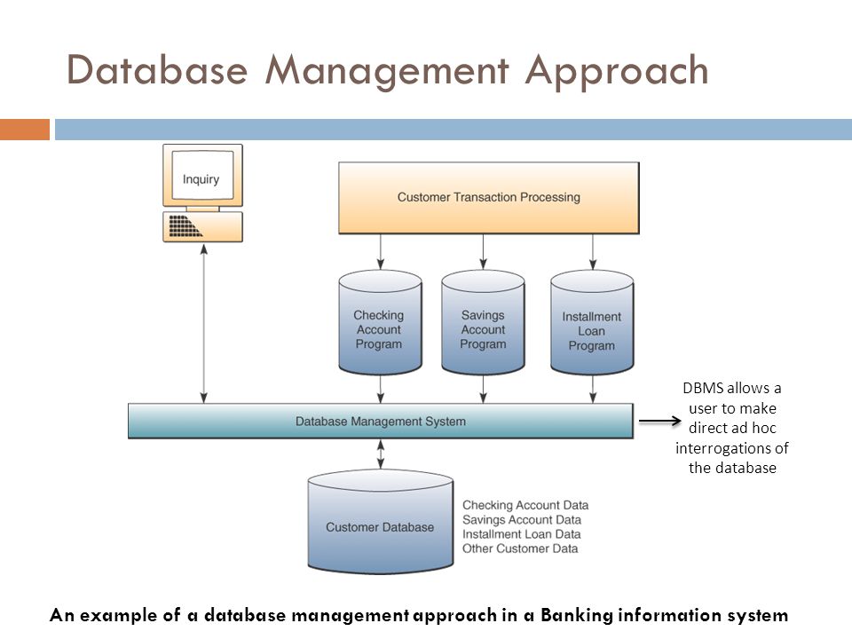 Database Management Approach