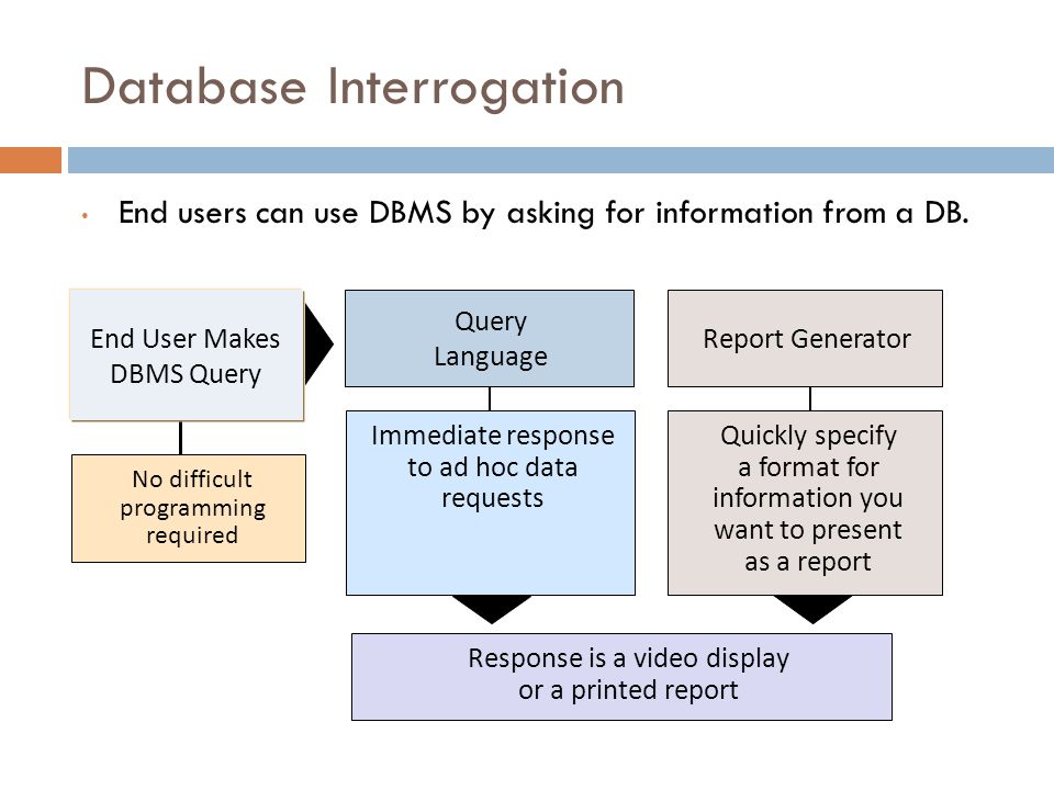 Database Interrogation