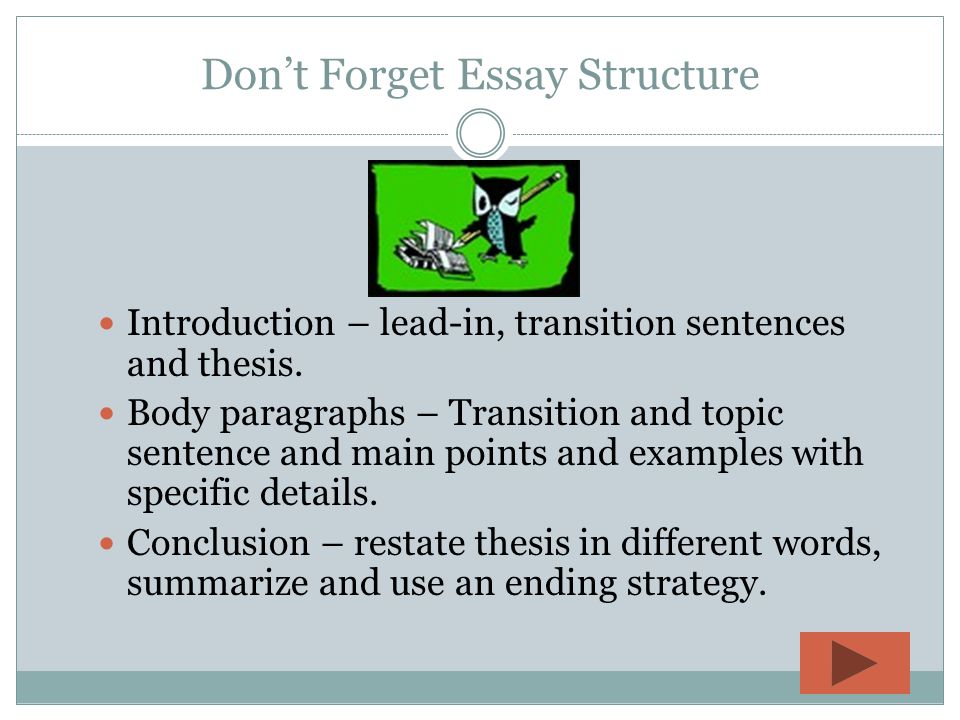 Don’t Forget Essay Structure