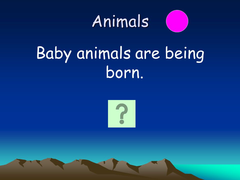 Baby animals are being born.