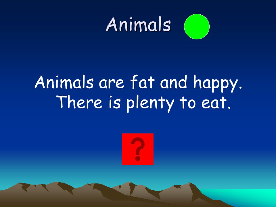 Animals are fat and happy. There is plenty to eat.